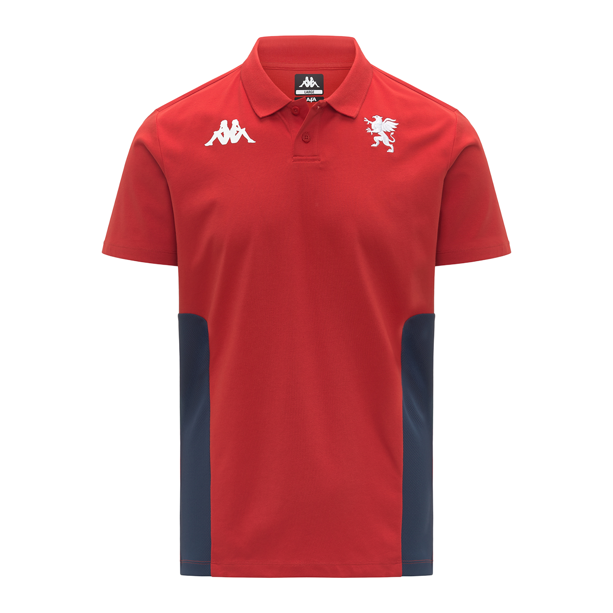 Polo Rappresentanza